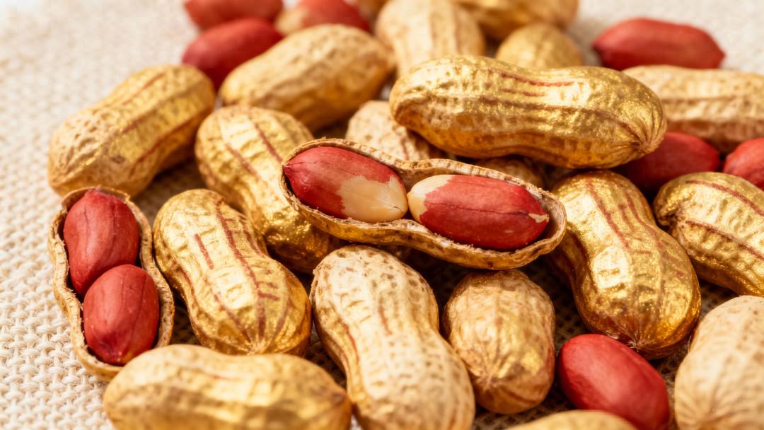 花生紅皮能不能吃？答案來(lái)了！這五類(lèi)人要果斷忌口